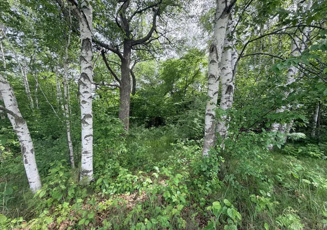 Photo 3 of Land for sale at 21781 Trestle Ridge Rd, Albany, MN 56307 | MLS# 7045496 | Listing updated on 2026-10-06