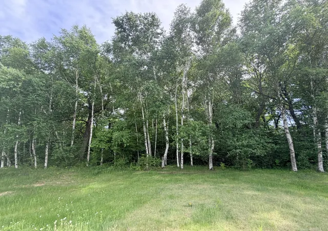 Photo 4 of Land for sale at 21781 Trestle Ridge Rd, Albany, MN 56307 | MLS# 7045496 | Listing updated on 2026-10-06