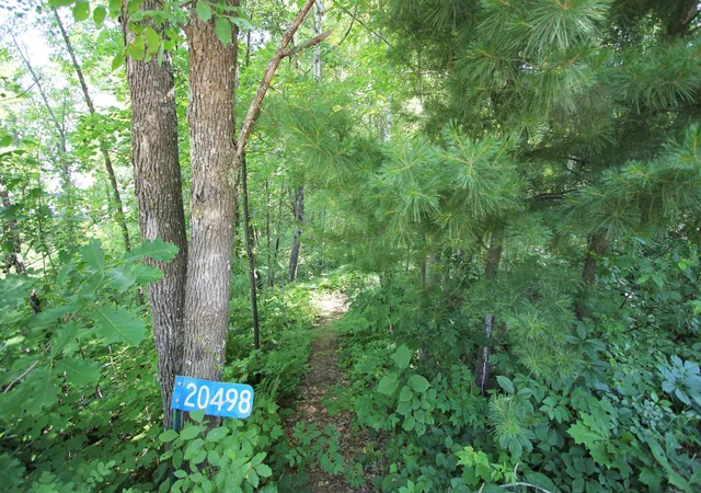 Photo 3 of Land for sale at 20498 Hay Lake Rd, Ironton, MN 56455 | MLS# 7045770 | Listing updated on 2026-07-20