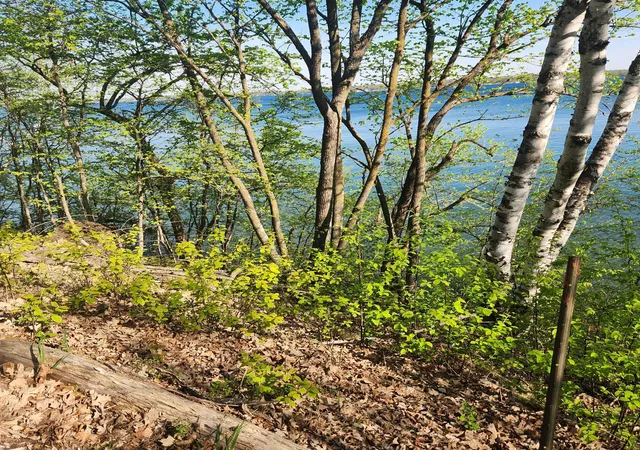 3rd image of Tbd Knollwood Lane, Pelican Rapids, MN 56572 | MLS# 7045888