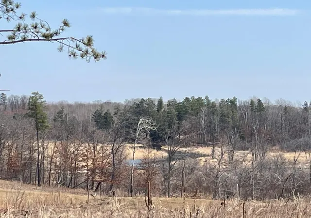 Photo 3 of Land for sale at 16434 Tom Lehman Dr, Brainerd, MN 56401 | MLS# 7045909 | Listing updated on 2026-05-27