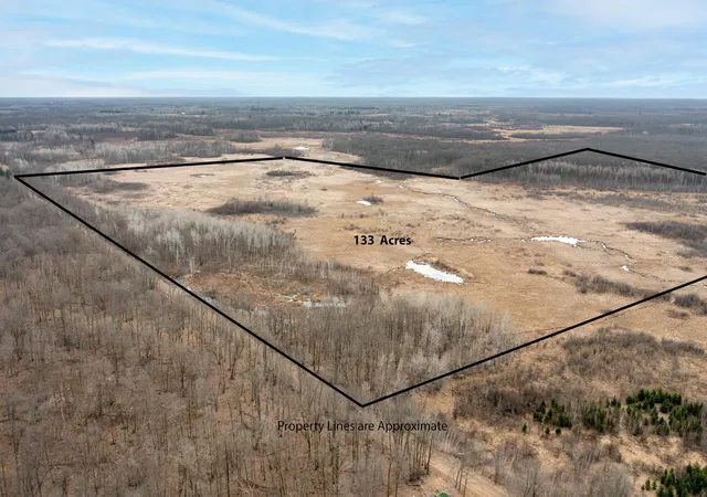 Homes for sale in Onamia, MN | Xxx 360th St, Onamia, MN 56359 | MLS# 7046272