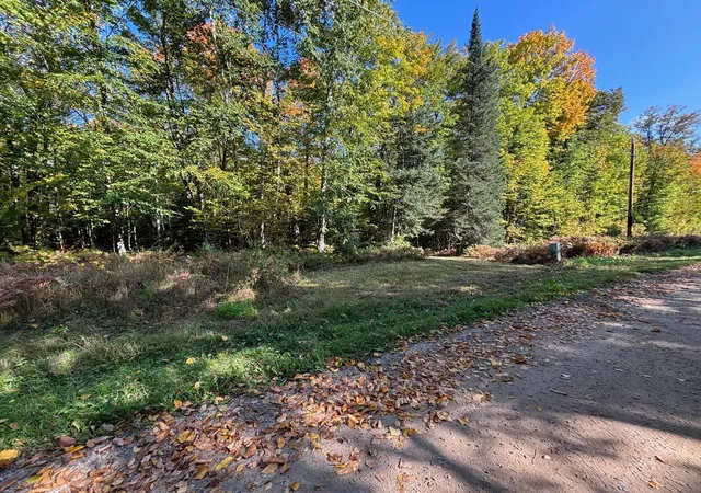 Homes for sale in Grand Rapids, MN | Tbd North Sherrys Arm Road, Grand Rapids, MN 55744 | MLS# 7046351