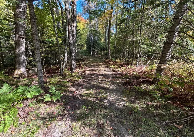 Homes for sale in Grand Rapids, MN | Tbd North Sherrys Arm Road, Grand Rapids, MN 55744 | MLS# 7046351