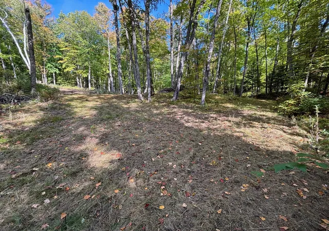 Homes for sale in Grand Rapids, MN | Tbd North Sherrys Arm Road, Grand Rapids, MN 55744 | MLS# 7046351