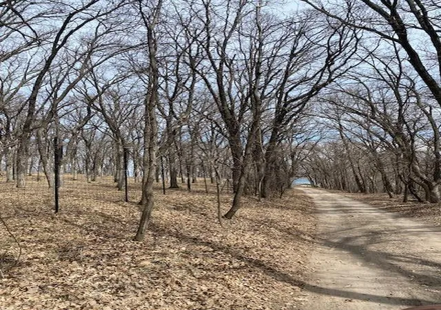 2nd image of 50378 Anderson Beach Trail, Pelican Rapids, MN 56572 | MLS# 7046684