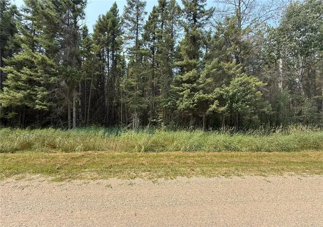 3rd image of Tbd 40 Acres Sunflower, Kelliher, MN 56650 | MLS# 7046890