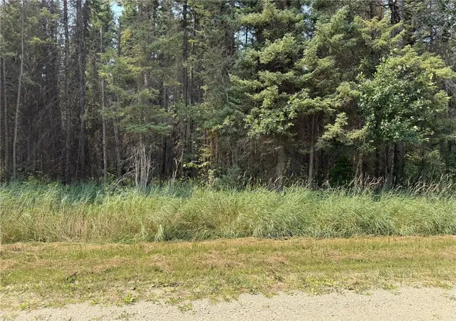 4th image of Tbd 40 Acres Sunflower, Kelliher, MN 56650 | MLS# 7046890