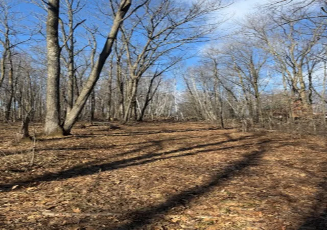 1st image of Tbd Woodchuck Trail, Cushing, MN 56443 | MLS# 7047199