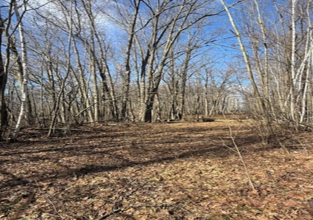 3rd image of Tbd Woodchuck Trail, Cushing, MN 56443 | MLS# 7047199