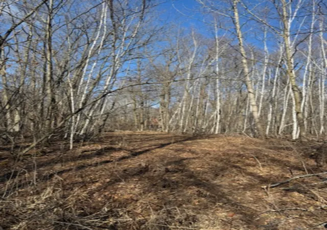 4th image of Tbd Woodchuck Trail, Cushing, MN 56443 | MLS# 7047199