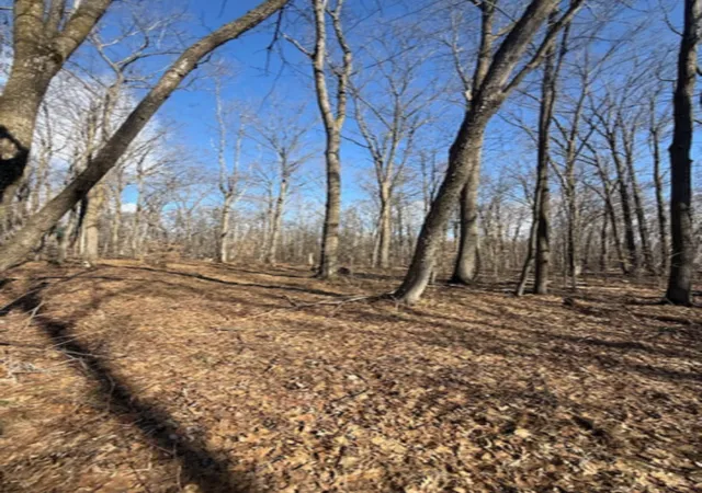 7th image of Tbd Woodchuck Trail, Cushing, MN 56443 | MLS# 7047199