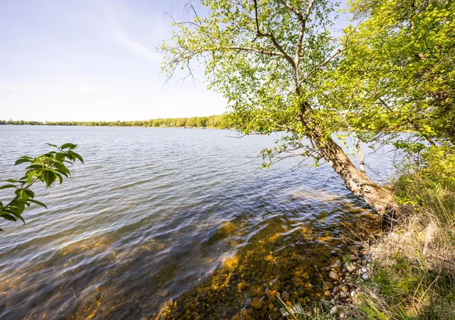 Homes for sale in Detroit Lakes, MN | 24331 County Hwy 6, Detroit Lakes, MN 56501 | MLS# 7047661