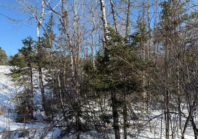 29th image of Xxx Hwy 12, Two Harbors, MN 55616 | MLS# 7047724