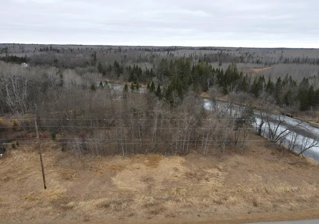 Homes for sale in Effie, MN | Tbd Hwy 5, Effie, MN 56639 | MLS# 7047991