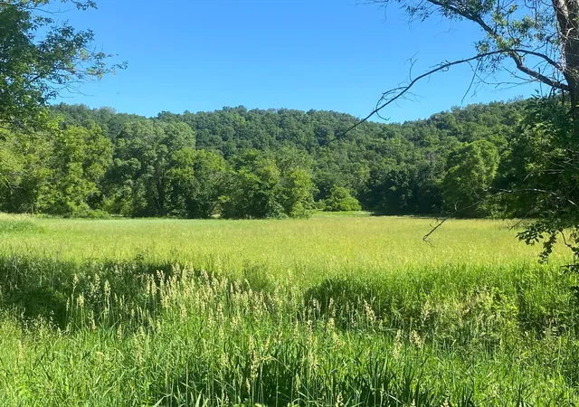 Photo 2 of Land for sale at 27333 Deep River Rd, Lanesboro, MN 55949 | MLS# 7048286 | Listing updated on 2026-09-03