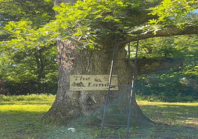 Photo 3 of Land for sale at 27333 Deep River Rd, Lanesboro, MN 55949 | MLS# 7048286 | Listing updated on 2026-09-03