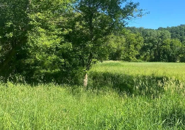 Photo 4 of Land for sale at 27333 Deep River Rd, Lanesboro, MN 55949 | MLS# 7048286 | Listing updated on 2026-09-03