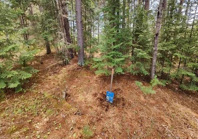 1st image of 80064 Osprey Pass, Tower, MN 55790 | MLS# 7048523