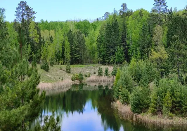 5th image of 80064 Osprey Pass, Tower, MN 55790 | MLS# 7048523