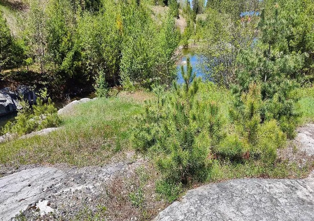 3rd image of 80036 Sweet Fern Loop, Tower, MN 55790 | MLS# 7048528