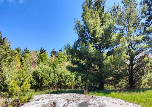 4th image of 80036 Sweet Fern Loop, Tower, MN 55790 | MLS# 7048528