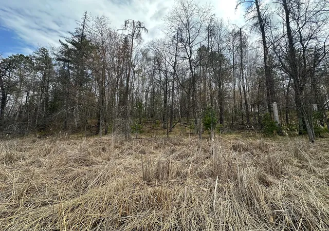 4th image of Tbd Dobosenski Rd, Sturgeon Lake, MN 55783 | MLS# 7048936