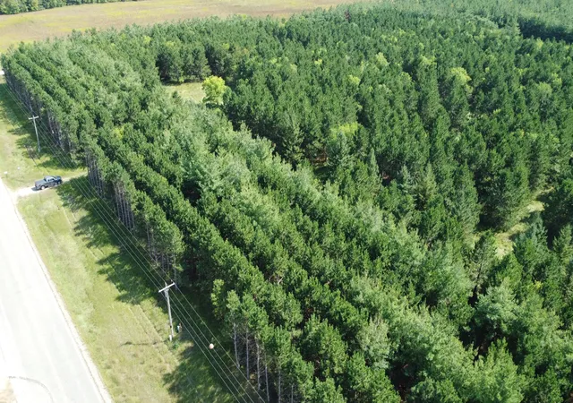41st image of Tbd County Hwy 54, New York Mills, MN 56567 | MLS# 7048974
