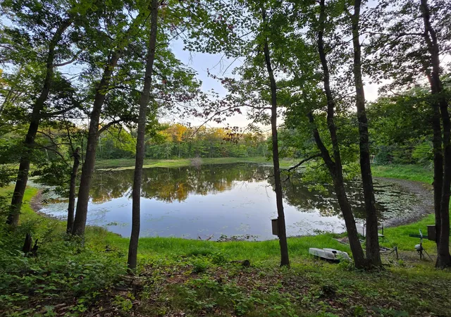 30th image of 6887 Jennifer Cir, Randall, MN 56475 | MLS# 7049259