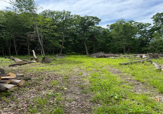 2nd image of 12216 Arcola Trl N, Stillwater, MN 55082 | MLS# 7049431