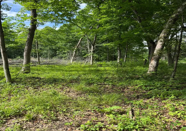 Photo 3 of Land for sale at 12216 Arcola Trl N, Stillwater, MN 55082 | MLS# 7049431 | Listing updated on 2026-06-09