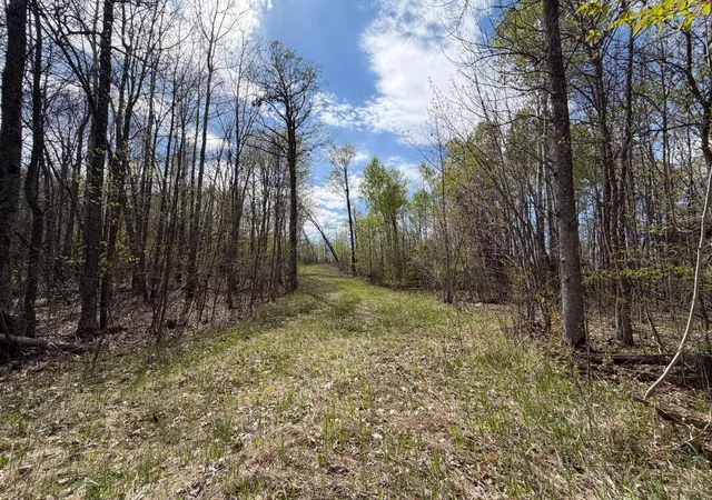 Photo 1 of Land for sale at 51265 Vagabond Loop, Bemidji, MN 56601 | MLS# 7049818 | Listing updated on 2026-07-30