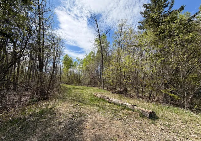 Photo 2 of Land for sale at 51265 Vagabond Loop, Bemidji, MN 56601 | MLS# 7049818 | Listing updated on 2026-07-30