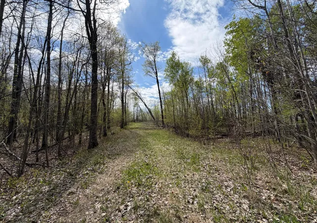 Photo 3 of Land for sale at 51265 Vagabond Loop, Bemidji, MN 56601 | MLS# 7049818 | Listing updated on 2026-07-30