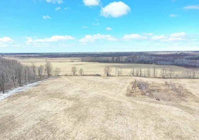 Homes for sale in Hinckley, MN | 41273 Swede Aly, Hinckley, MN 55037 | MLS# 7049969