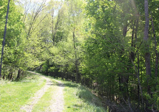85th image of 31127 Levi Path, Lake City, MN 55041 | MLS# 7049987