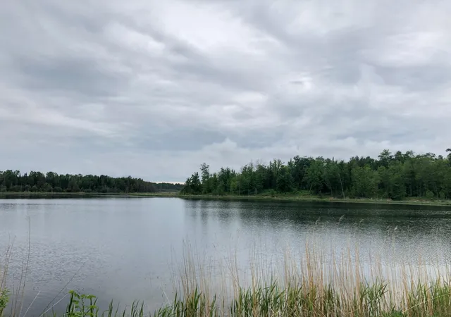 1st image of 9a Hines Road Ne, Hines, MN 56647 | MLS# 7050511