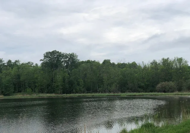 2nd image of 9a Hines Road Ne, Hines, MN 56647 | MLS# 7050511