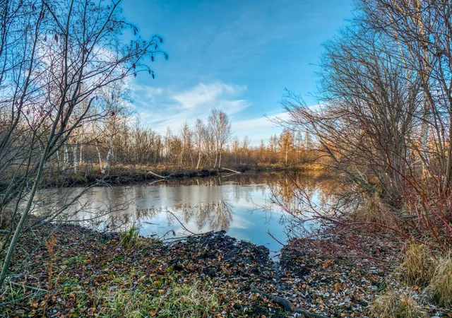 Photo 3 of Land for sale at Tbd Dora Lake Rd, Kinghurst Twp, MN 56661 | MLS# 7050749 | Listing updated on 2026-06-09