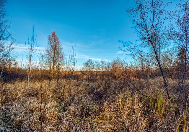 Photo 4 of Land for sale at Tbd Dora Lake Rd, Kinghurst Twp, MN 56661 | MLS# 7050749 | Listing updated on 2026-06-09