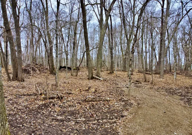 23rd image of Tract C Linden St, Garrison, MN 56450 | MLS# 7050941