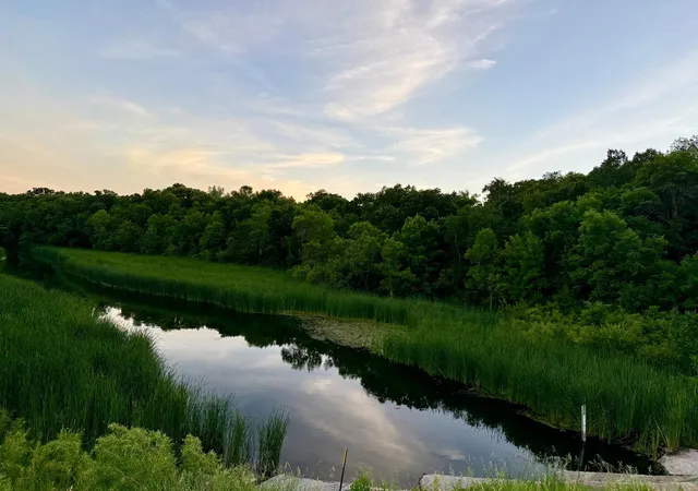 3rd image of Tbd Basswood Dr, Sauk Centre, MN 56378 | MLS# 7050949
