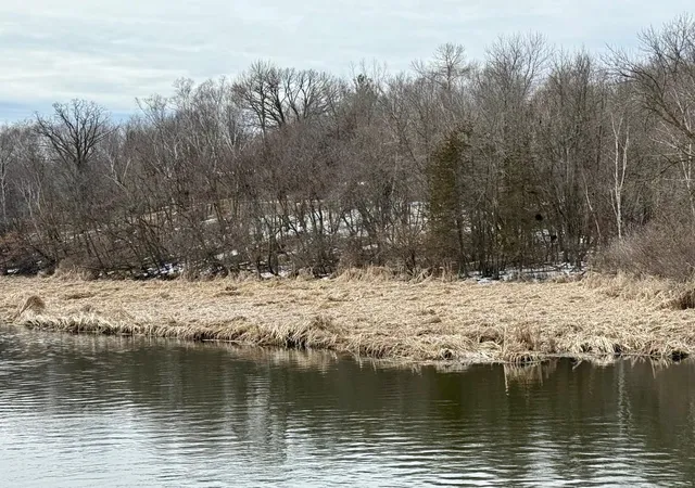 5th image of Tbd Basswood Dr, Sauk Centre, MN 56378 | MLS# 7050949