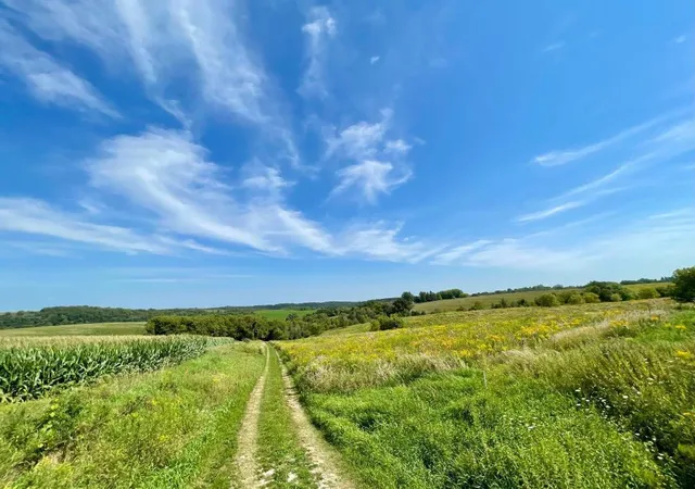 Photo 3 of Single family home for sale at Tbd C County 8, Spring Grove, MN 55974 | MLS# 7051024 | Listing updated on 2026-07-18