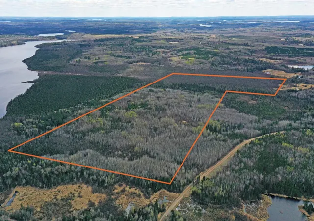 Homes for sale in Orr, MN | 4268 Crane Lake Rd, Orr, MN 55771 | MLS# 7051256
