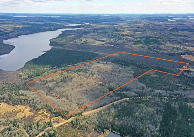 Homes for sale in Orr, MN | 4268 Crane Lake Rd, Orr, MN 55771 | MLS# 7051256