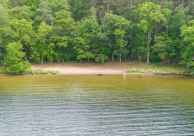 Photo 3 of Land for sale at 36003 Schaller Ln, Pequot Lakes, MN 56472 | MLS# 7051335 | Listing updated on 2026-10-06