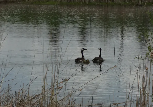 8th image of Tbd Fortune Creek Trl, Faribault, MN 55021 | MLS# 7051785