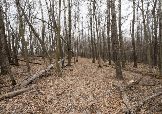 Photo 3 of Land for sale at Lot 3 Saylers Beach Rd, Lake Park, MN 56554 | MLS# 7052721 | Listing updated on 2026-05-27