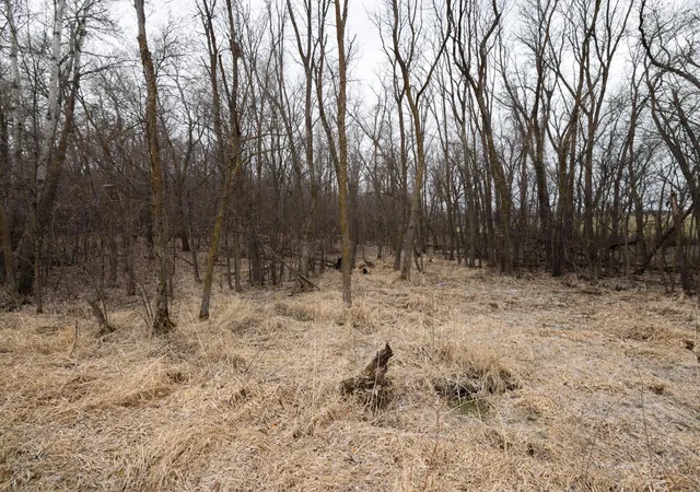 Photo 3 of Land for sale at Lot 3 Saylers Beach Rd, Lake Park, MN 56554 | MLS# 7052721 | Listing updated on 2026-05-27